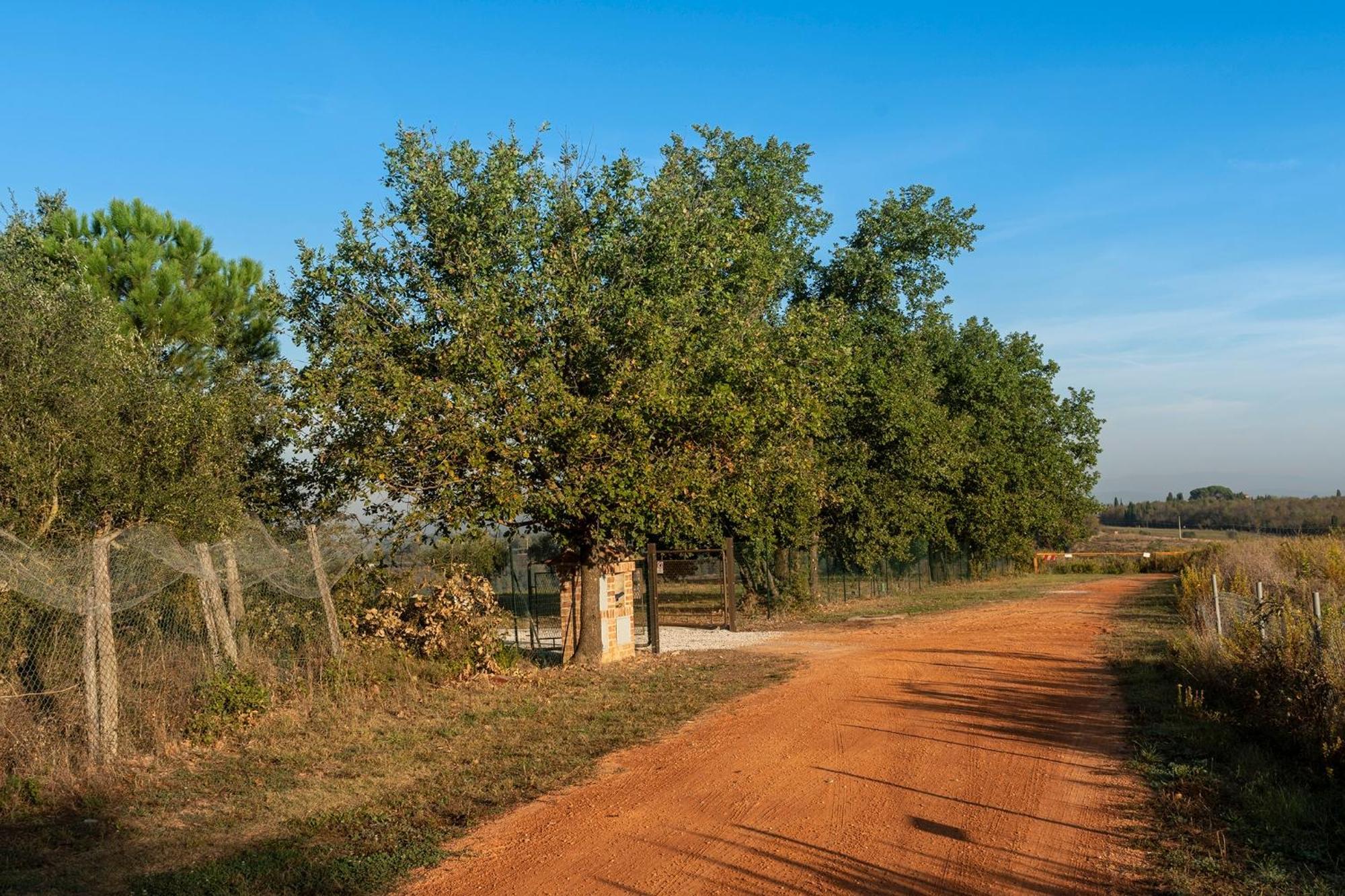 Podere Abbazia B&B ซินาลุงกา ภายนอก รูปภาพ
